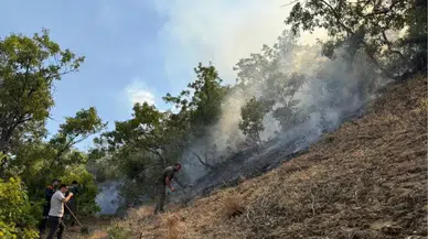 Bingöl'de yangın paniği son buldu
