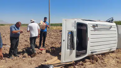 Karaman’da minibüs tarlaya uçtu: 1 yaralı, 4 yavru kedi kurtarıldı!