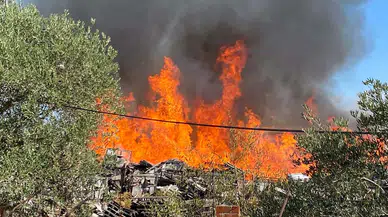 Manisa'da palet fabrikasında yangın çıktı