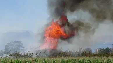 Antalya'da korkutan yangın!