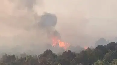 Konya'da sazlık alanda başlayan yangın ormana sıçradı