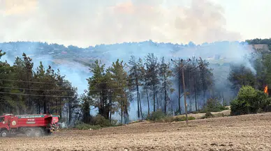 Osmaniye'de orman yangını: Ekiplerin müdahalesi sürüyor