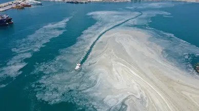 Marmara Denizi'nde erken müsilaj yoğunluğu!