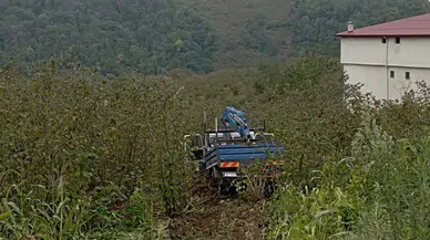 Samsun'da kamyonet fındık bahçesine uçtu: 3 yaralı!
