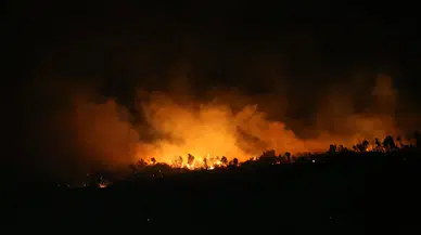 Bursa orman yangınında son durum