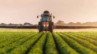 Çiftçilere müjde! Destek ödemeleri bugün hesaplara yatacak
