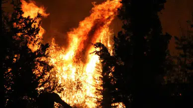 Antalya'nın Aksu ilçesinde orman yangını!