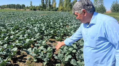 Eskişehir’de çiftçilerin kuyu suları 20 metrelere indi