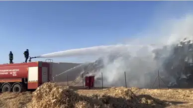 Mardin’de korkutan yangın