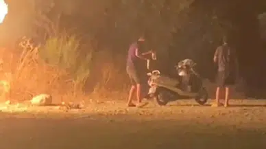 Muğla’da orman yangını: Motosikletli şüpheliler aranıyor