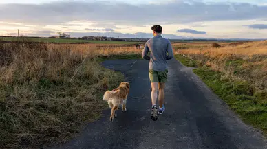Detoks diyetleri gerçekten işe yarıyor mu? Bilimsel vücut temizleme rehberi