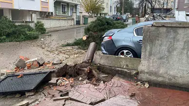 Kocaeli’de fırtına felaketi: 12 metrelik ağaç otomobilin üzerine devrildi