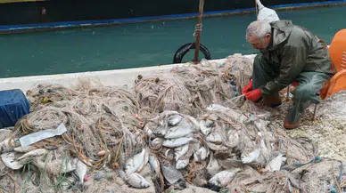Silifke'de deniz taştı, balıklar karaya vurdu! Kafesler yırtılınca sahil doldu taştı