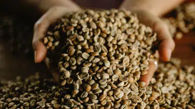 Vietnam'da sahte kahve operasyonu : 4.1 ton kahve ele geçirildi