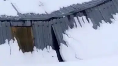 Sivas'ta ahırın çatısı biriken karları taşıyamayarak çöktü