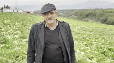 Toplama maliyeti fiyatı aşınca tarlayı halka açtı