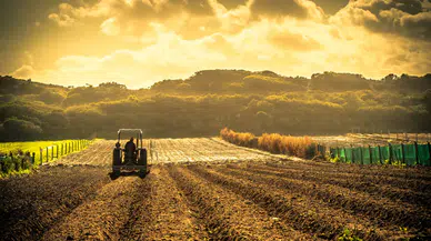 Çiftçinin maliyet yükü artıyor! Kasım ayı Tarım-GFE rakamları belli oldu
