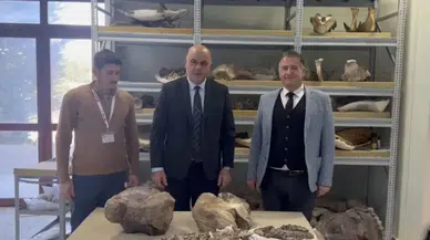 Iğdır'da 30 milyonluk dev gergedan bulundu!