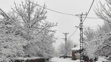 Bingöl Valiliği açıkladı, bazı yollar trafiğe kapatıldı!