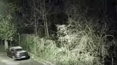 Beykoz’da tüfekle rastgele ateş: Park halindeki araç kurşunlandı