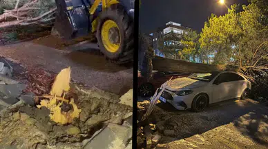 Denizli'de rüzgar ağaçları devirdi, çatıları uçurdu