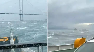 Yalova'da feribotta panik: Yolcular mahsur kaldı!