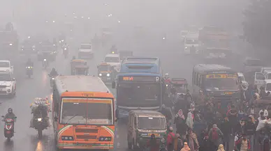 Nipah virüsü Türkiye'ye gelir mi? Dünya Sağlık Örgütü'nden son açıklamalar