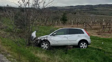 Denizli'de aynı yerde ikinci kaza: Araç üzüm bağına uçtu