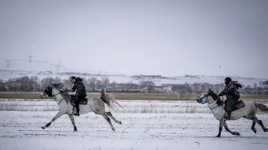 Erzurum'da kış aylarında atlı safari keyfi!