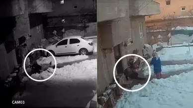 Şanlıurfa'da evden çıkan herkes, buzda kayıp düştü: İşte o anlar