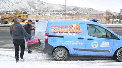 Melikgazi'de Sevimli Dost Ambulansı 4 bin 300 hayvana umut oldu