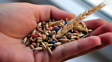 22 milyon yerel tohum üreticiyle buluştu