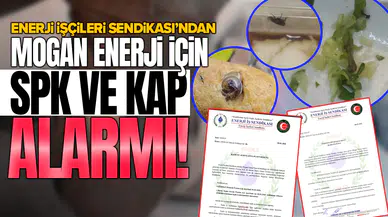 Enerji İşçileri Sendikası’ndan Mogan Enerji için SPK ve KAP alarmı