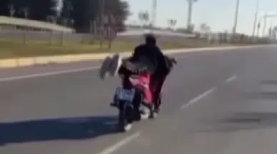 Hatay’da motosiklet üzerinde yatan çocuğa 50 bin TL ceza!