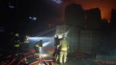 Hatay’da narenciye tesisinde yangın! 1 işçi hayatını kaybetti