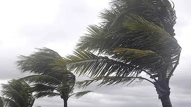 Muğla'da kuvvetli rüzgar ve sağanak uyarısı!