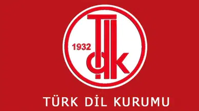 TDK, 2025'te en çok aratılan kelimeleri paylaştı
