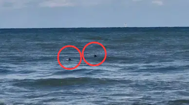 Akçakoca'da boğulma ihbarı verilen gençler sörfçü çıktı