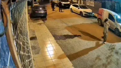 İzmir’de kadın cinayeti! Kayıp olarak aranan Mihriban Yılmaz ormanda gömülü halde bulundu