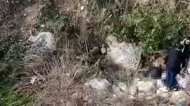 Balıkesir'de aranan kayıp şahsın cesedi Mersin'de bulundu!