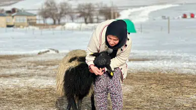 Van'da annesi öldükten sonra sahip çıkarak büyüttüğü koyunla arkadaş oldu