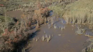Göksu Nehri yetersiz kaldı: Tarım arazileri sular altında kaldı