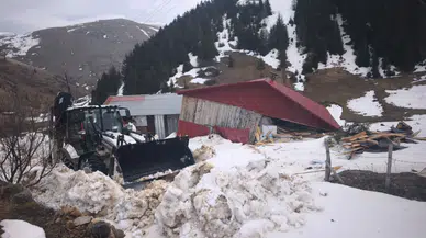 Ordu'da ahşap eve çığ düştü