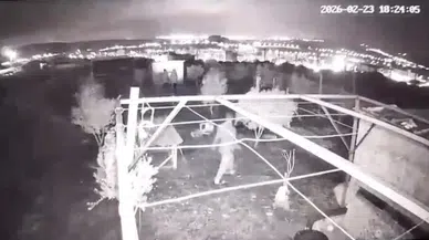 Osmaniye’de hobi bahçesine hırsız girdi : 25 güvercin çalındı