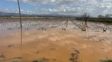 Manisa'da Gediz Nehri taştı : Evlerinde mahsur kalan vatandaşlar traktörlerle kurtarıldı