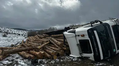 Bolu'da tomruk yüklü tır devrildi : Sürücü araçta sıkıştı