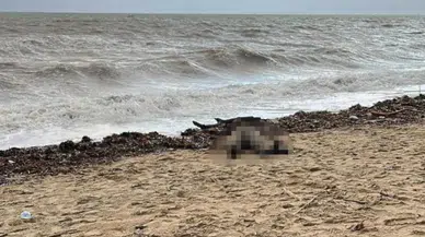 Balıkesir'de Sarımsaklı sahilinde kıyıya vurmuş bir kadın cesedi bulundu