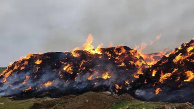 Kocaeli'de yangın : 70 saman balyası küle döndü