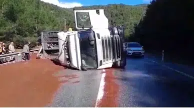 Antalya'da kaza : Peyzaj malzemeleri yüklü tır devrildi