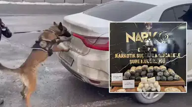 Erzurum'da otomobildeki uyuşturucuyu Hera buldu : 2 şüpheli tutuklandı